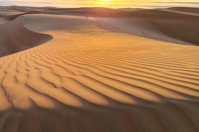Full-Day Private Wahiba Sands Desert and Wadi Bani Khalid Tour - Why the private guide matters on this route