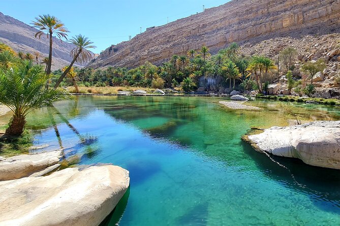 Full-Day Private Wahiba Sands Desert and Wadi Bani Khalid Tour - Timing, comfort, and what to pack