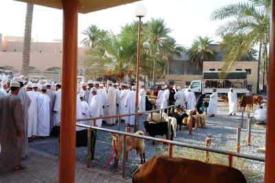 Full-Day Tour in Oman: Enchanting Forts of Nizwa and Jabreen