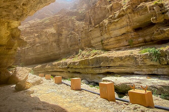 Full-Day Wadi Shab and Bimmah Sinkhole Tour - Who Will Enjoy This Tour Most?