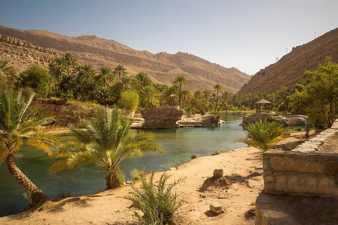 Full-Day Wahiba Desert and Wadi Bani Khalid Group Tour - Who should book this desert and wadi tour?