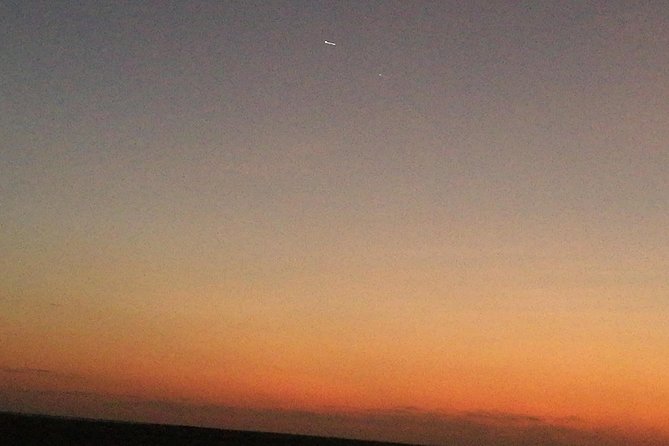 Golden Dunes Getaway: Overnight Safari in Salalah’s Empty Quarter - From Salalah’s mountains to the frankincense trees