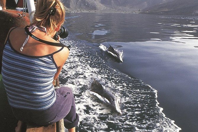 Half Day Dolphin Watching Musandam Dhow Cruise - Who will enjoy this trip most