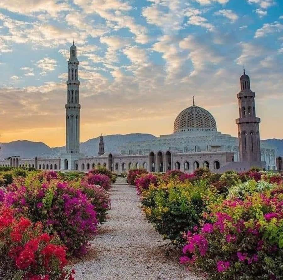 Half Day Muscat City Tour - Experienced Tour - Key points to know before you book