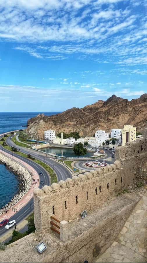 Half Day Muscat City Tour - Experienced Tour - Who will get the most from this tour?
