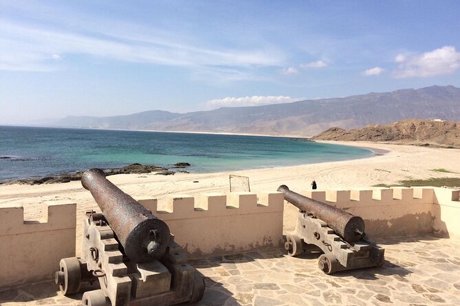 Half Day Private Muscat City Afternoon Tour - The Royal Opera House and Muscat’s civic face