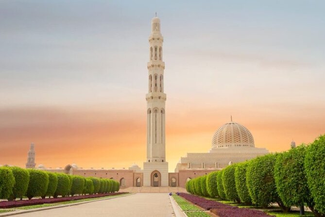 Half Day Private Muscat City Afternoon Tour - Al Jalali and Mirani Forts at Muscat harbor