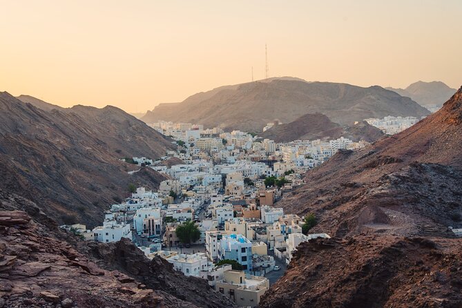 Half-Day Private Muscat City Tour- with a local guide - Mutrah Fish Market shows the city at work