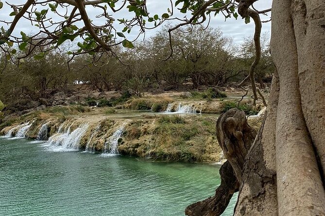 Half-Day Private Salalah East Tour - Five useful things to know before you book