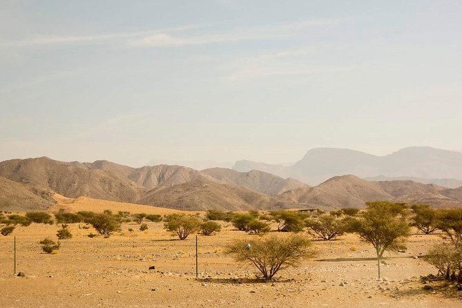 Half Day Tour of Salalah : Best of West - What the $255 group price really means