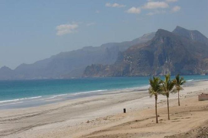 Half Day Tour of Salalah : Best of West - Crossing the Qara Mountains among camels and cattle
