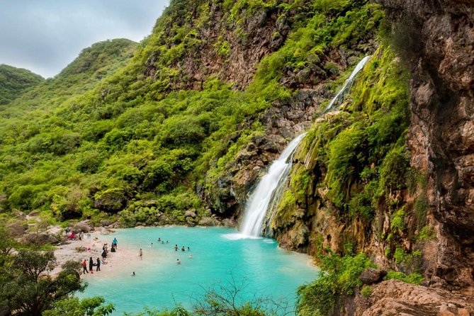 Half day tour Splendours of the East :Salalah Tours - How to judge the $255 group price