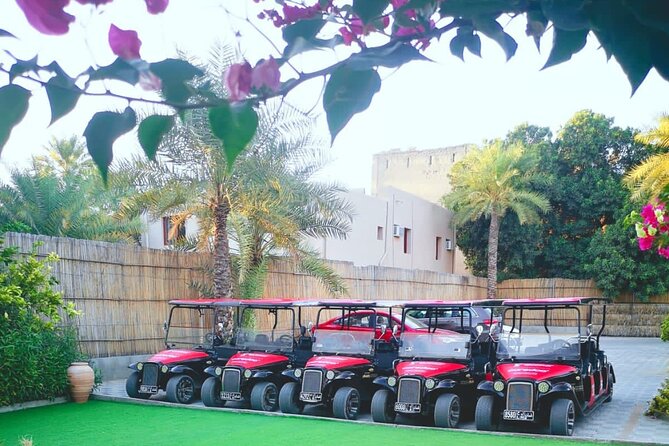 Heritage private Tour by classic carts - Guide quality and communication