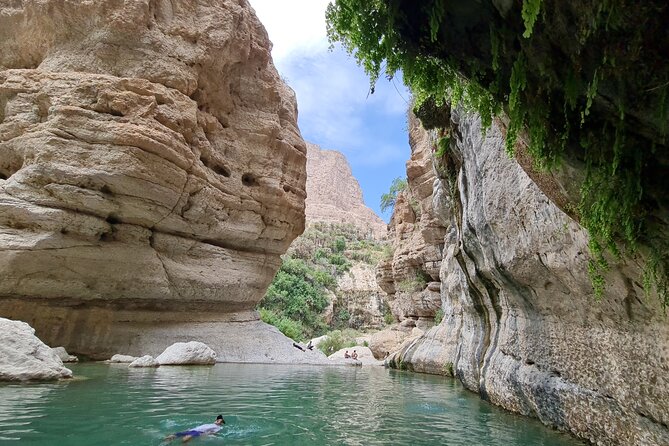 Hidden Gems of Oman: Sinkhole, Fins Beach & Wadi Tiwi Adventure - Is $182.30 a fair price?