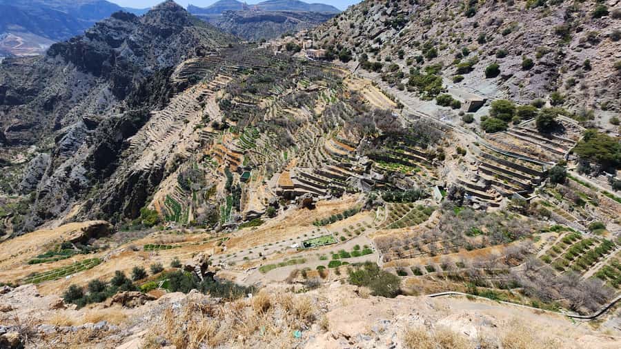 Historical City of Nizwa - Birkat Al Mouz and Falaj al Khatmin