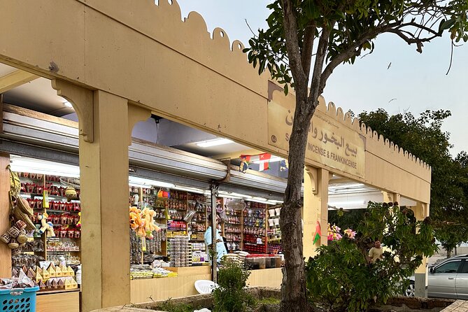 Historical Salalah City Tour - Sultan Qaboos Palace from the roadside