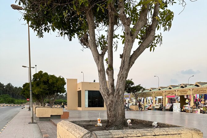 Historical Salalah City Tour - How the guide can shape the whole day