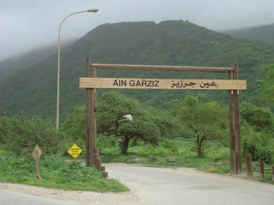Historical Salalah City Tour with Culture, Food & Shopping - Why this four-hour tour works in Salalah