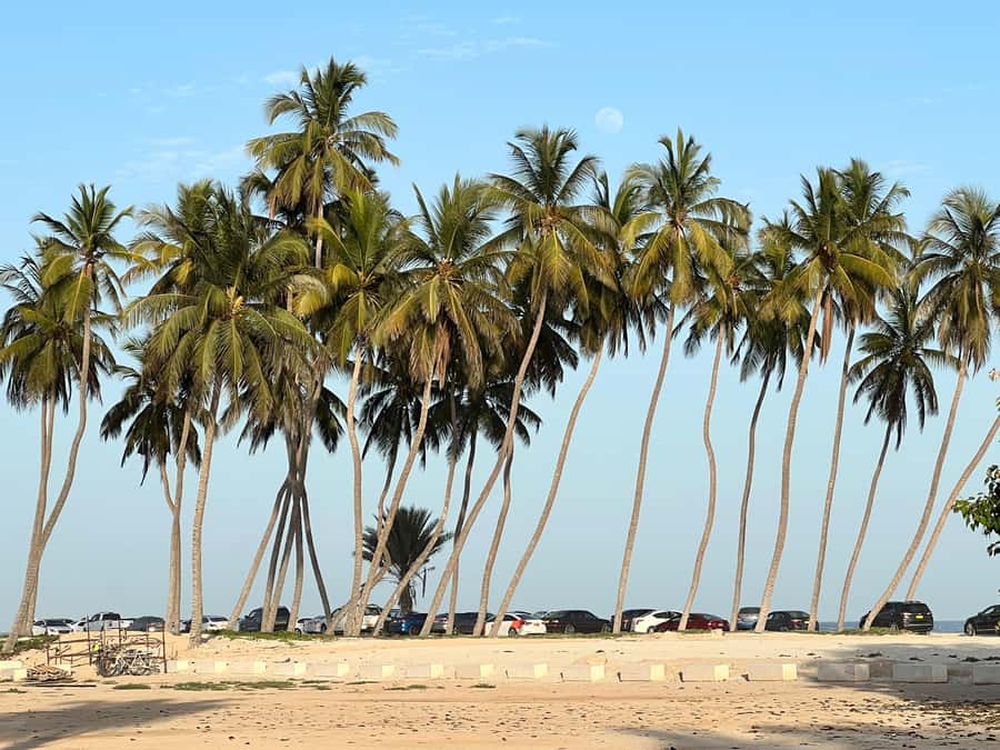 Historical Salalah City Tour with Culture, Food & Shopping - Entering the Sultan Qaboos Mosque