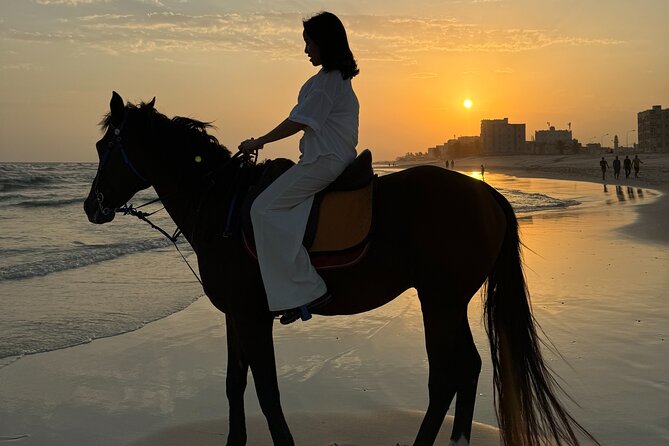 Horse riding by the beach Salalah - Key points to know before you book
