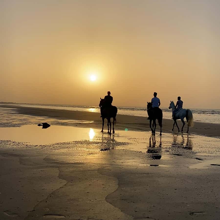 Horse riding in muscat beach - A convenient beach stop near Muscat Airport