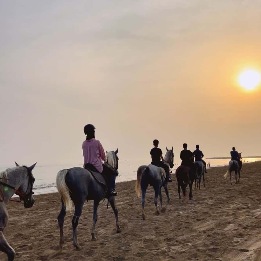 Horse riding in muscat beach - What the one-hour route is really like