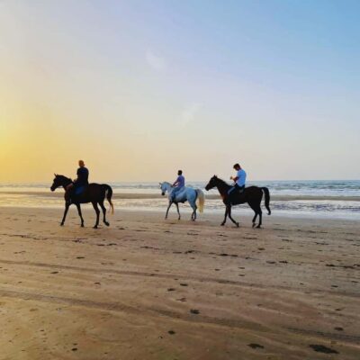 Horse riding in muscat beach