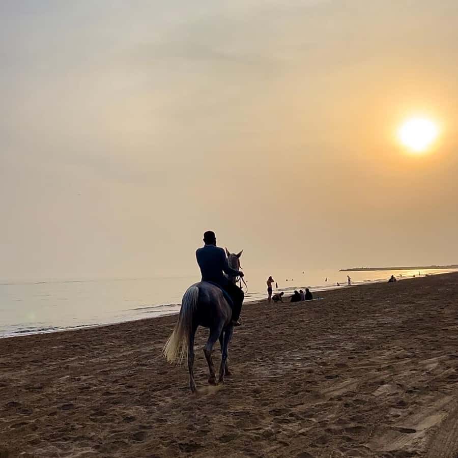Horse riding in muscat beach - Clothing, weight limits, and who should skip it