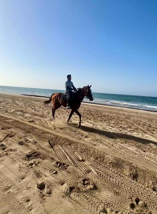 Horse riding in muscat beach - Best for sunset photos, beginners, and short stays