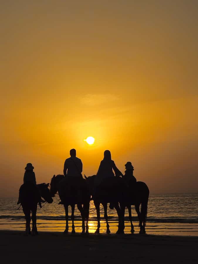 Horse Riding Muscat | Beach Horse Riding - Key things to know before riding