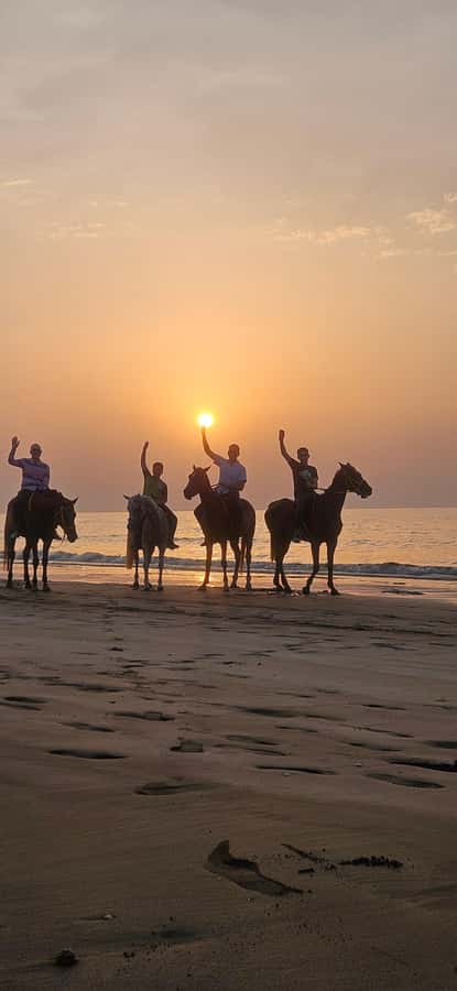 Horse Riding Muscat | Beach Horse Riding - Reaching Al Sawadi Beach from Muscat