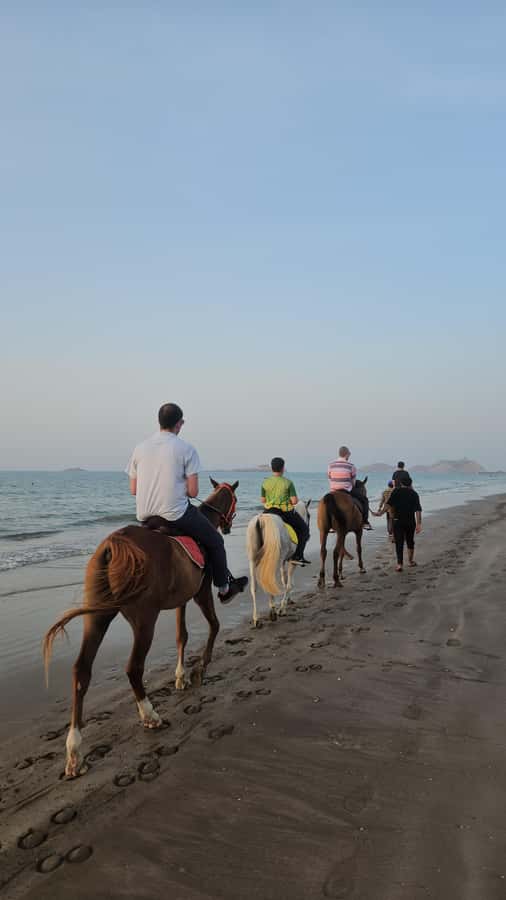 Horse Riding Muscat | Beach Horse Riding - One hour beside the Gulf of Oman