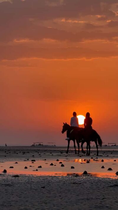 Horse Riding Muscat | Beach Horse Riding