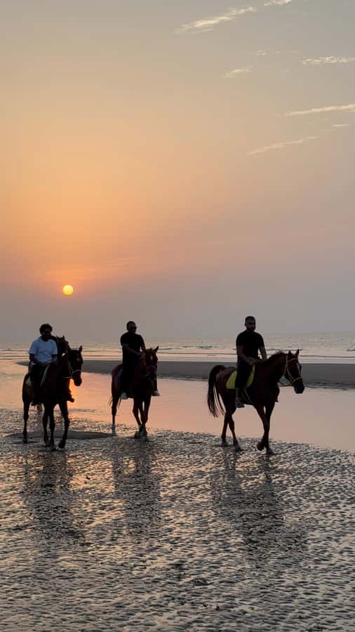Horse Riding Muscat | Beach Horse Riding - Why sunset is worth considering