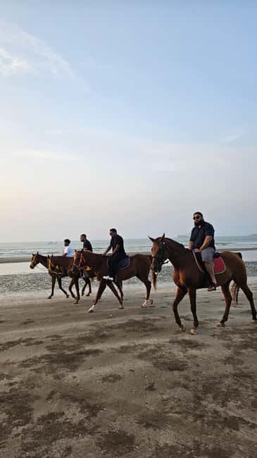 Horse Riding Muscat | Beach Horse Riding - Safety, clothing, and limits