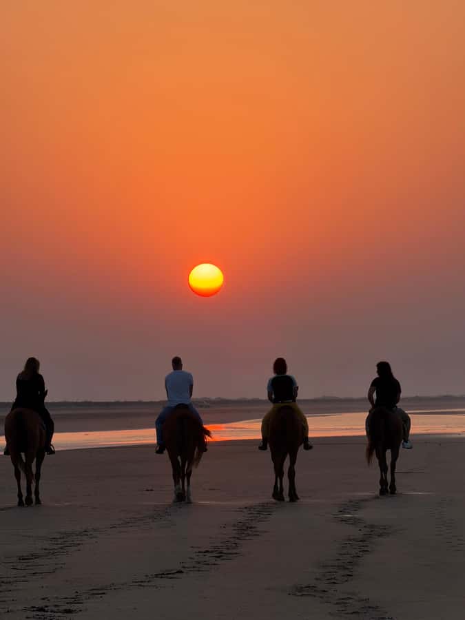 Horse Riding Muscat | Beach Horse Riding - Who should book this beach ride?