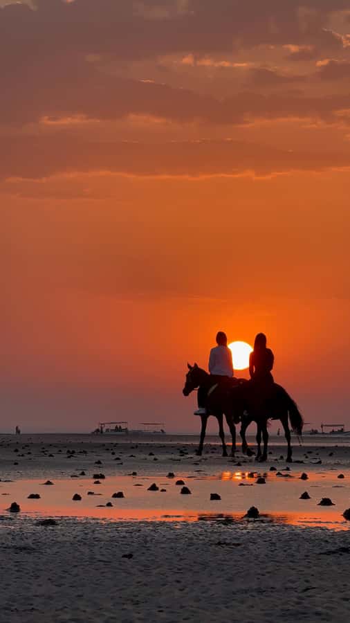 Horse Riding Muscat | Beach Horse Riding - Meeting the horses and getting ready
