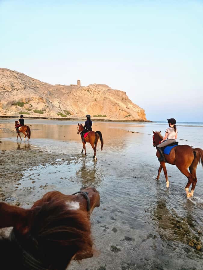 Horse Riding Oman - 2 hour ride - Key points to know before booking