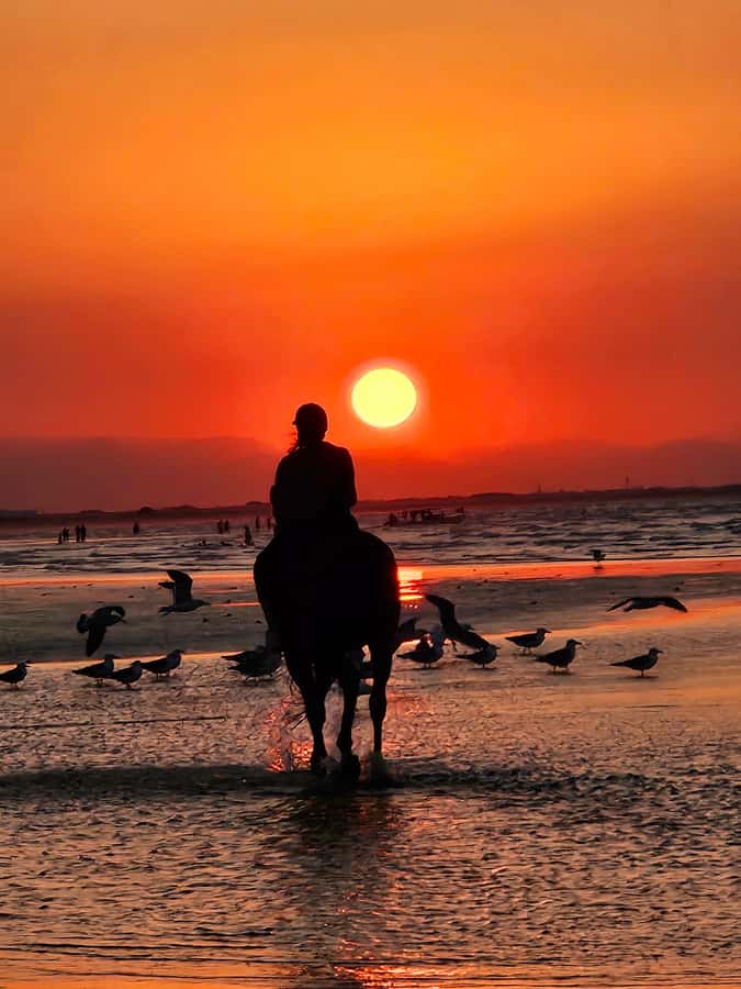 Horse Riding Oman - 2 hour ride - Why Al Sawadi Beach makes a good riding spot