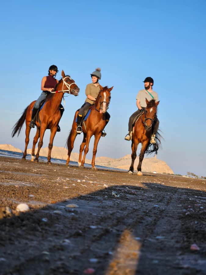Horse Riding Oman - 2 hour ride - The first few minutes: safety, horses, and riding technique