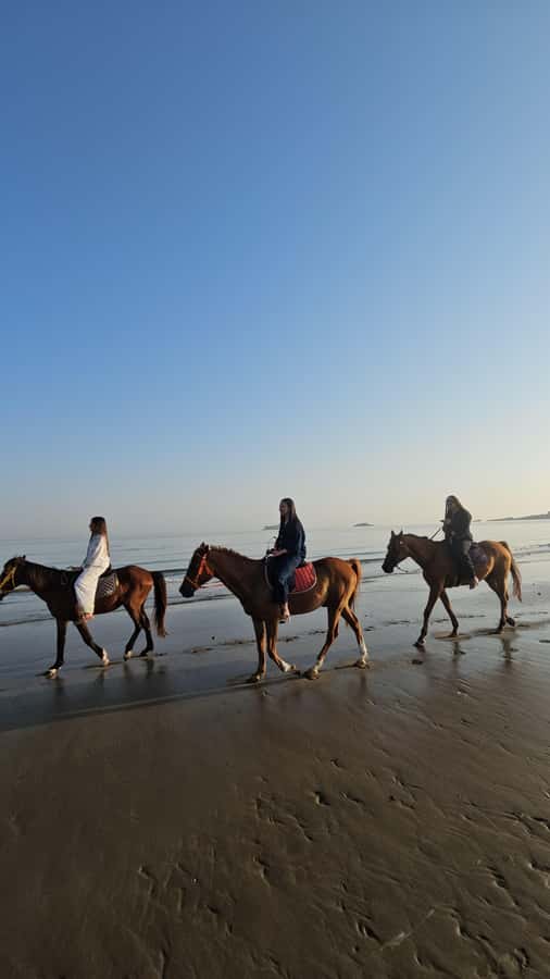 Horse Riding Oman - 2 hour ride - How beginners and experienced riders should prepare