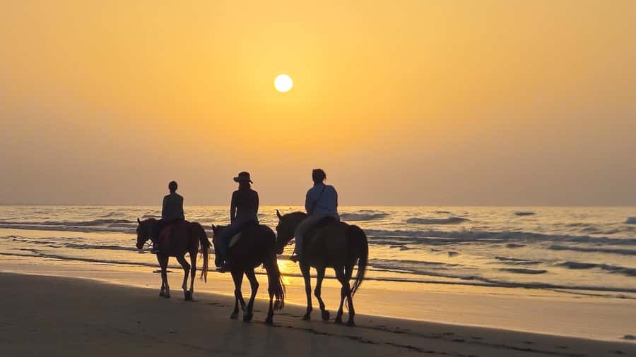 Horse Riding Oman - 2 hour ride - The guides and the feel of the outing