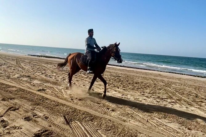 Horse Riding on the beach - The Civil Aviation Club meeting point in Al Ghubrah