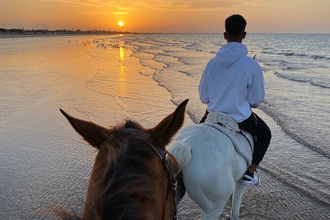 Horse Riding on the beach - What the small group changes