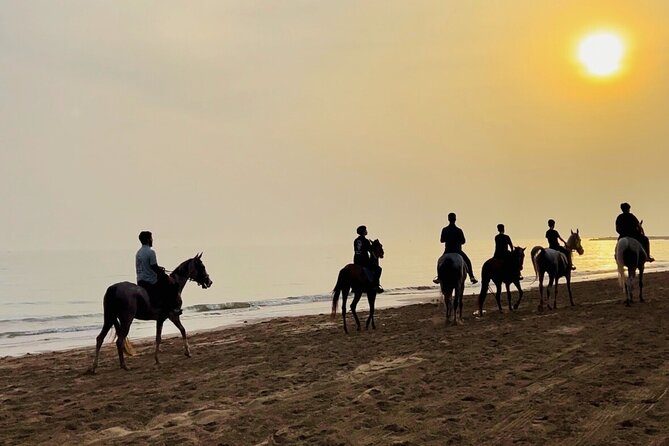 Horse Riding on the beach - Who will enjoy this ride most?