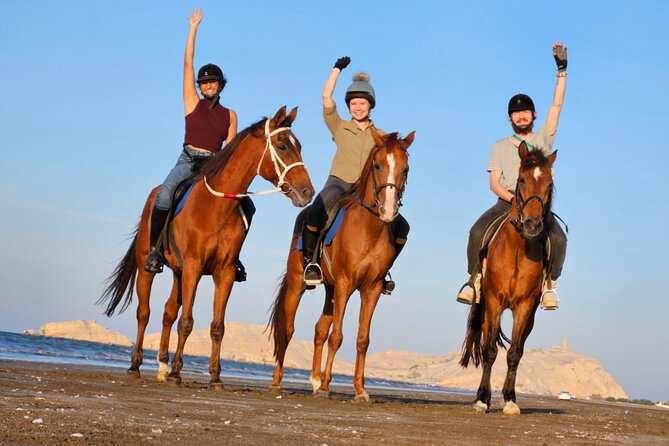 Horseback Riding Muscat Beach - Key points to know before booking