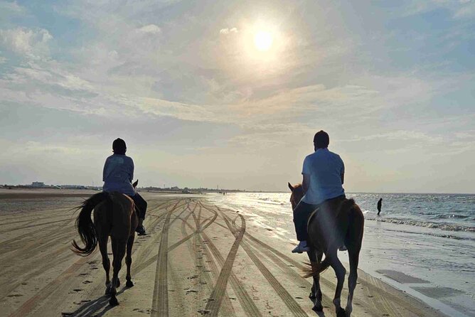 Horseback Riding Muscat Beach - Riding out along Al Sawadi Beach