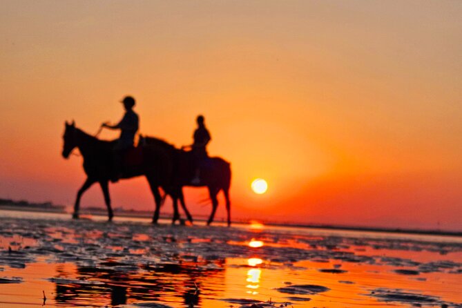 Horseback Riding Muscat Beach - Sunrise, sunset, and the best time to ride