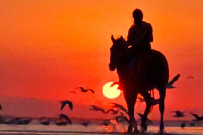 Horseback Riding Muscat Beach - Photos with Suleman during the ride