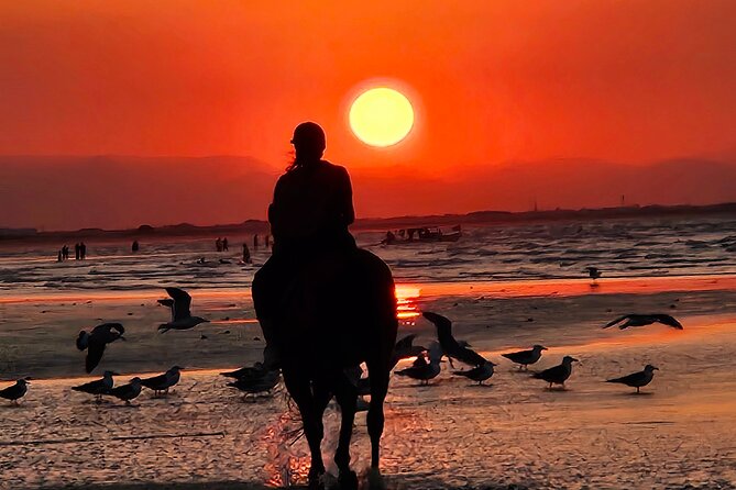 Horseback Riding Muscat Beach - What the ride feels like for beginners
